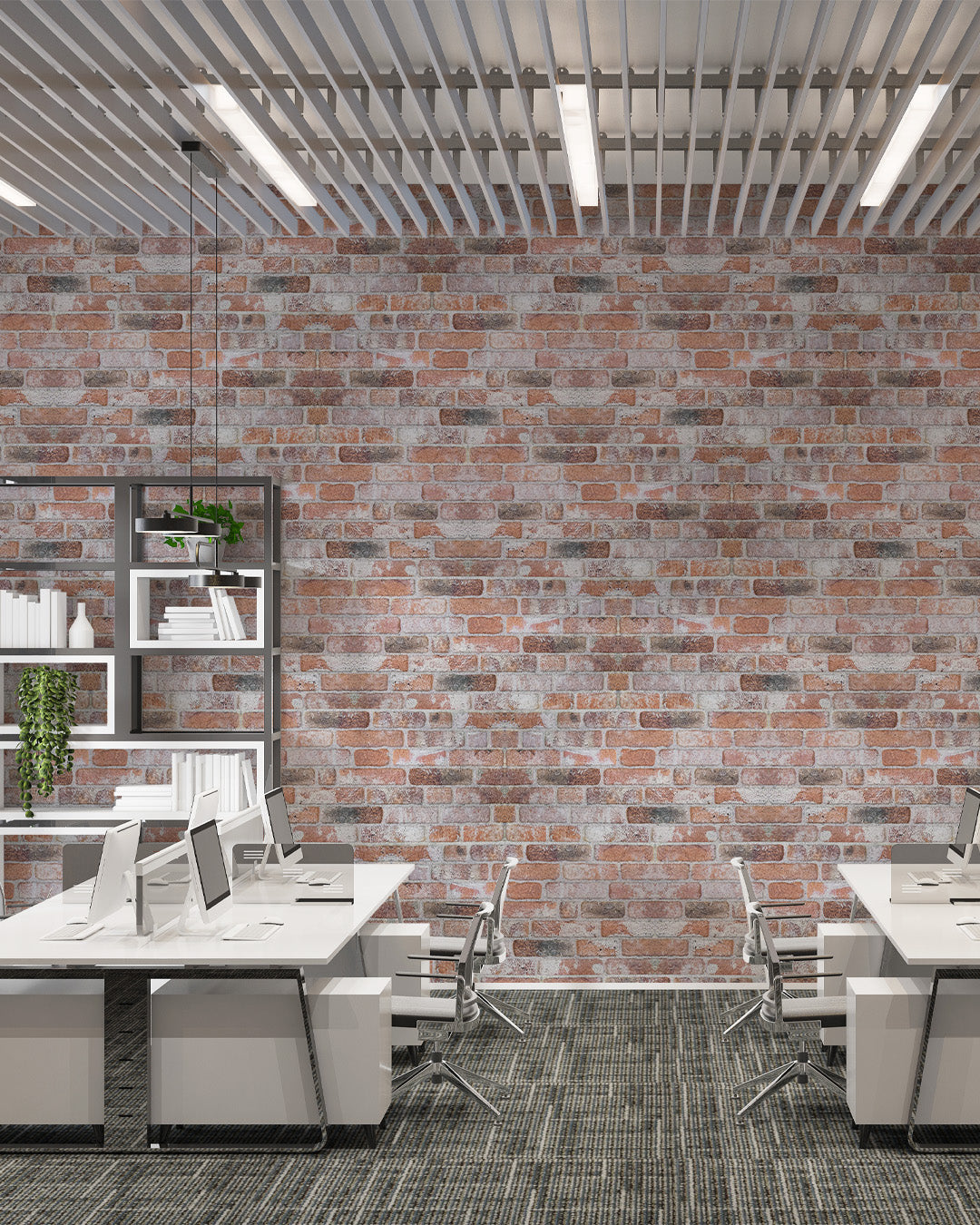 Old Temple L-1925 Rivestimento in pietra Lycia